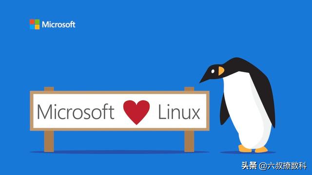 为什么感觉Linux运维工程师很多,Windows运维工程师比较少?-第3张图片-贝塔运维 为什么感觉Linux运维工程师很多,Windows运维工程师比较少?-第3张图片-贝塔运维