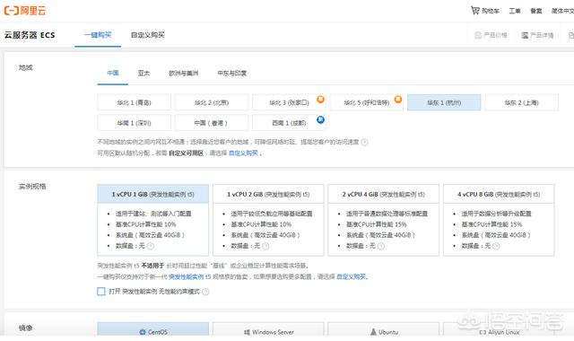 怎么租用一个合适的服务器？-第4张图片-贝塔运维
